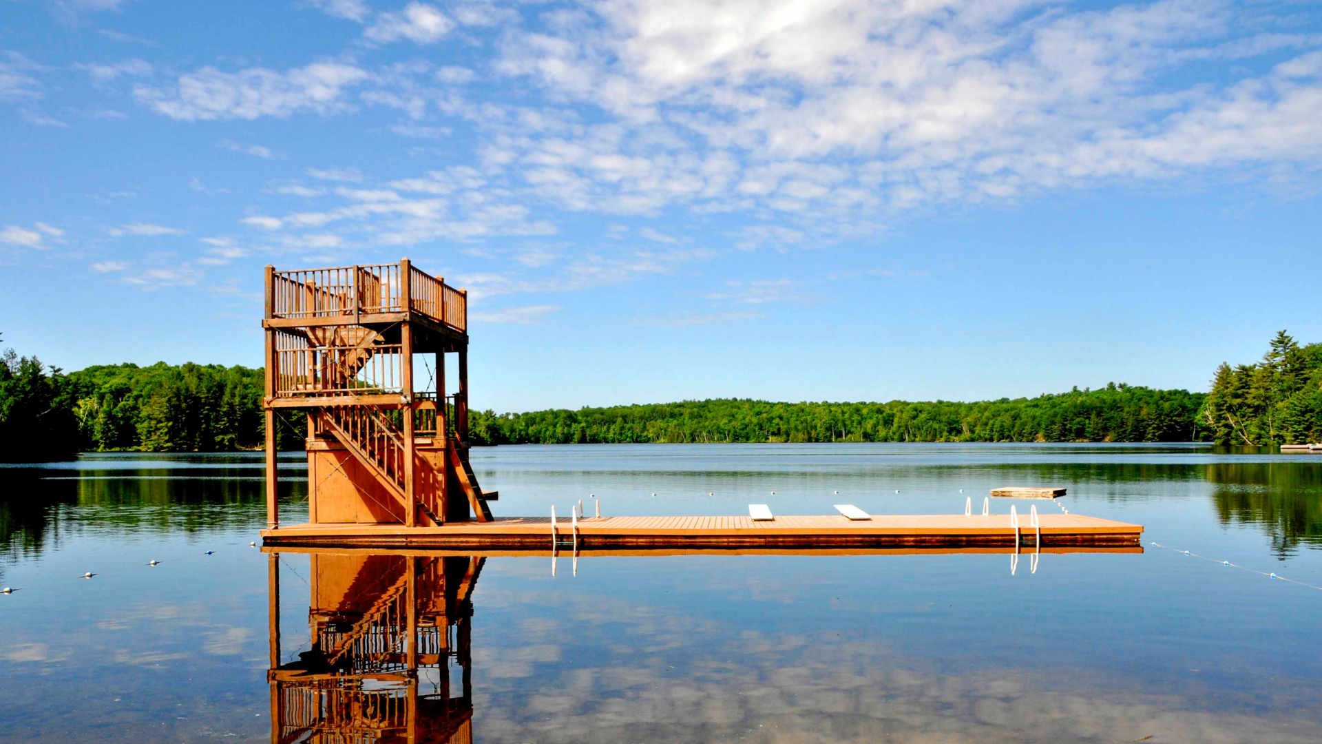 Untitled design (31)